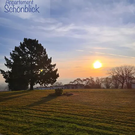 Schoenblick 公寓